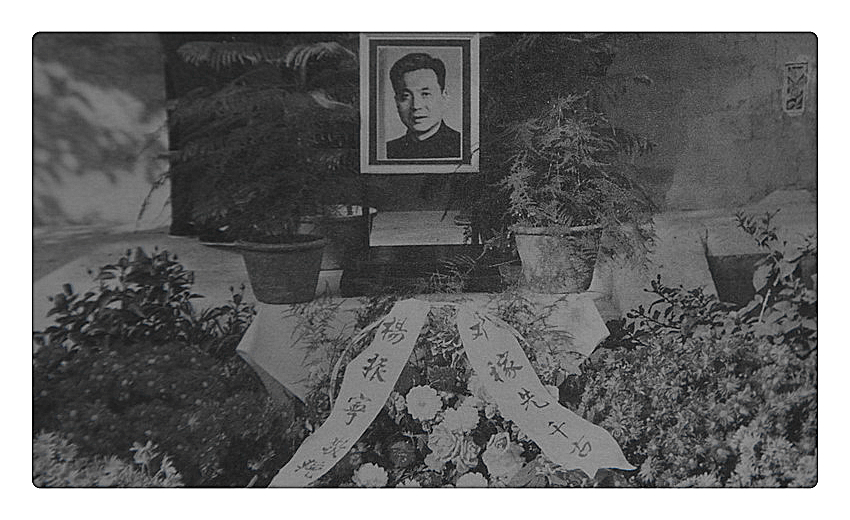 杨振宁：永恒的骄傲