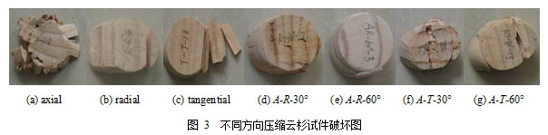 云杉各向异性力学行为实验测试与数值模拟