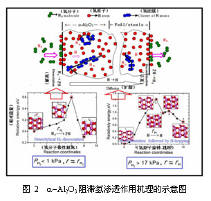 Al<sub>2</sub>O<sub>3</sub>阻氚涂层的制备、性能及阻氚机制