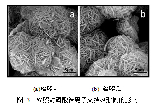 新型磷酸锆离子交换剂制备与性能研究