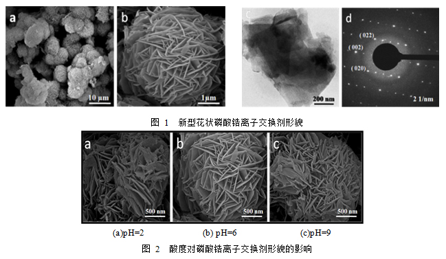 新型磷酸锆离子交换剂制备与性能研究